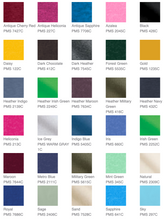 Load image into Gallery viewer, Pony Palooza - Gildan Softstyle® T-Shirt