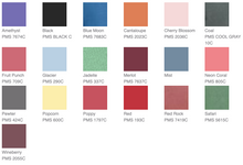 Load image into Gallery viewer, Pony Palooza - Port & Company® Beach Wash® Garment-Dyed Tee