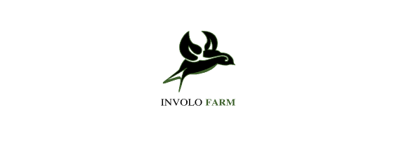 Involo Farm – Forget Me Not Designs