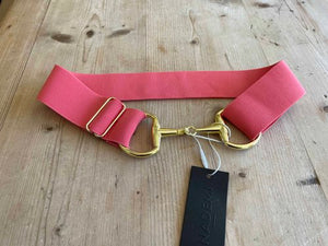 Anademi Gold Bit Buckle Stretch Belts