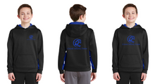 Load image into Gallery viewer, Cedar Spring Farm - Sport-Tek® Sport-Wick® Fleece Colorblock Hooded Pullover (Ladies, Men's, Youth)