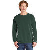 Comfort Colors ® Ring Spun Crewneck Sweatshirt